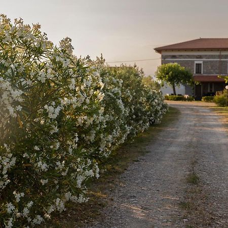 Agri Charme Tenuta Picilli Villa Albanella Екстериор снимка